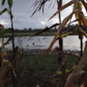 Meet your Posher, Jim